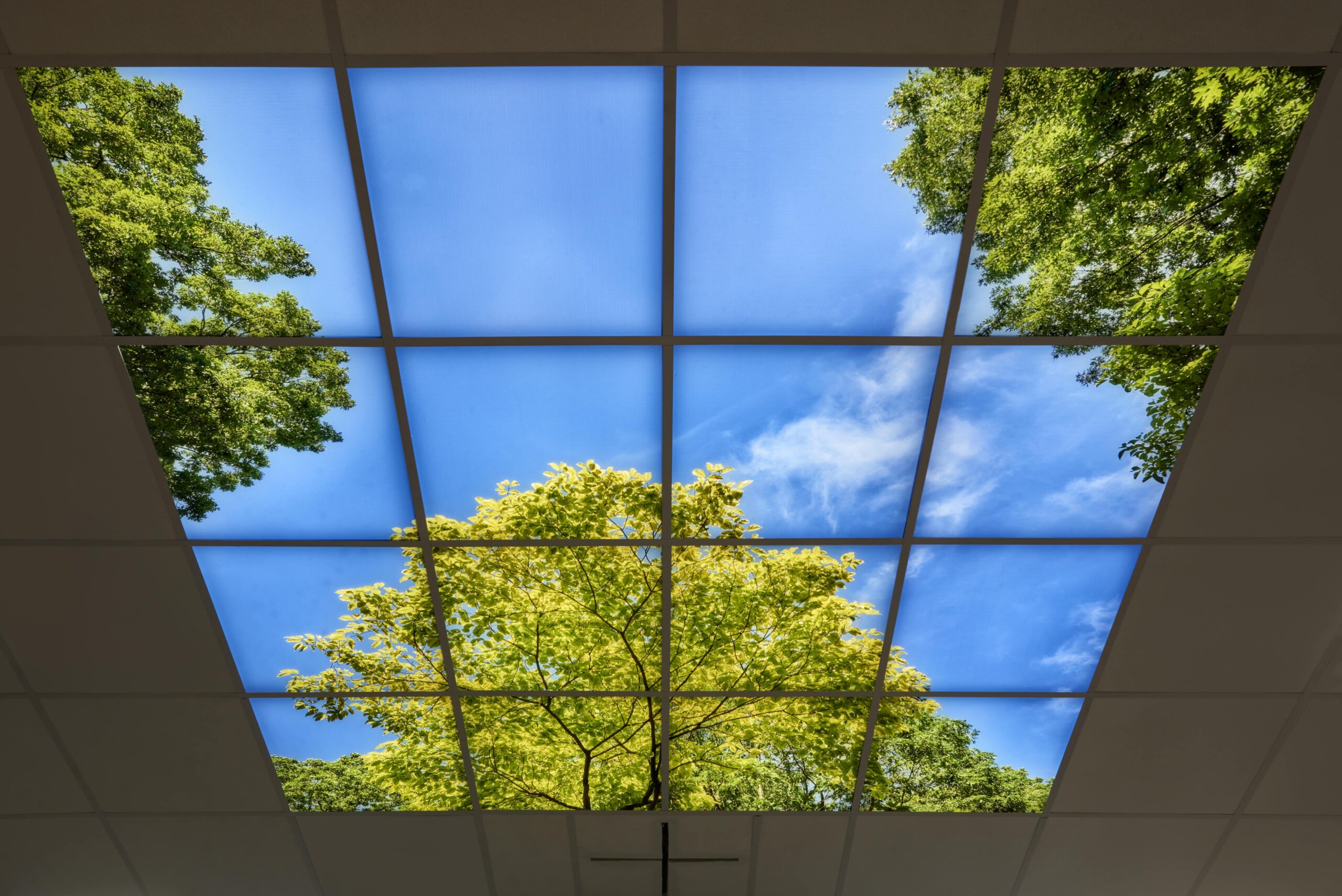 Portfolio Image