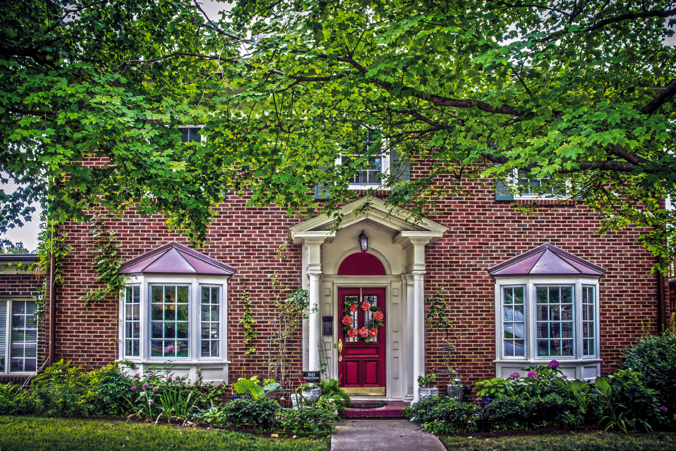 Portfolio Image